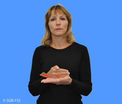 SAMMELN Hauptbild