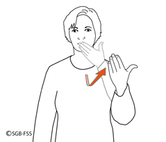 Illustration du signe BONJOUR – Lexique de la langue des signes, Fédération Suisse des Sourds
