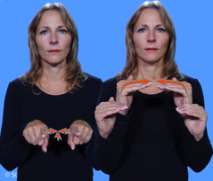 Foto für die Gebärde GLEICHBERECHTIGT – Gebärdensprachelexikon Gehörlosenbund