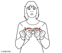 GUETZLI Illustration
